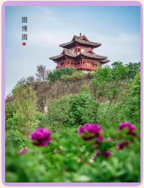Peony Expo Garden