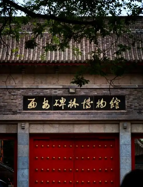 Stele Forest Museum