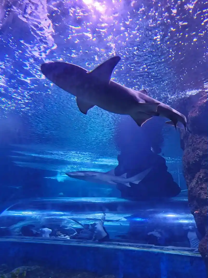 Qujiang Ocean World