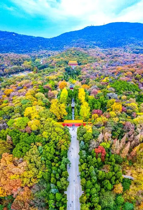 Purple Mountain