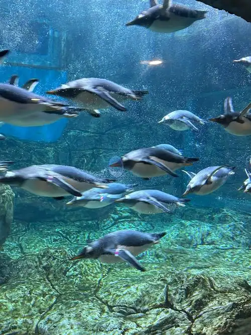 Zhengzhou Aquarium