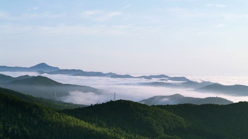 Nanshan Bamboo Sea