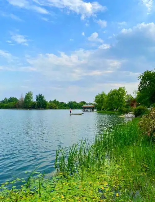 North Lake Wetland Park