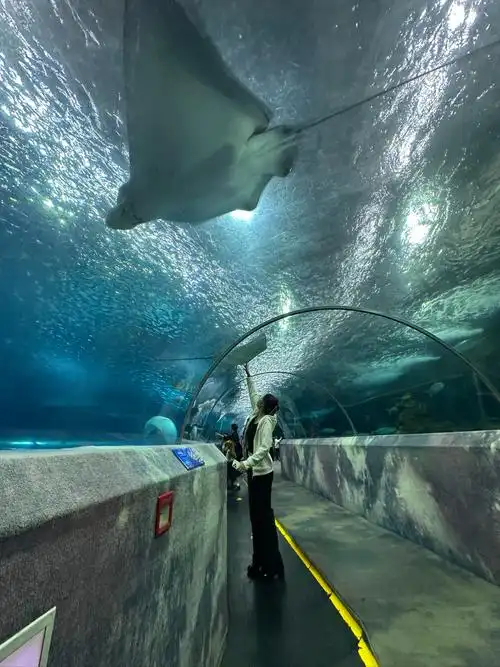 Changsha Underwater World