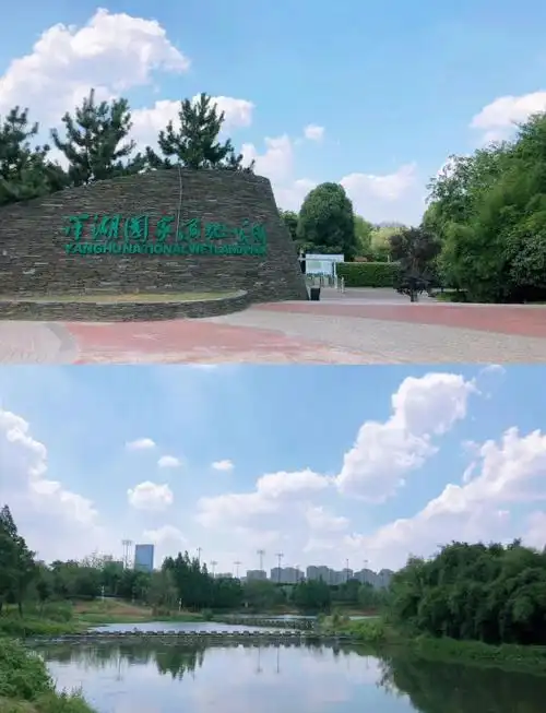 Yanghu Wetland Park