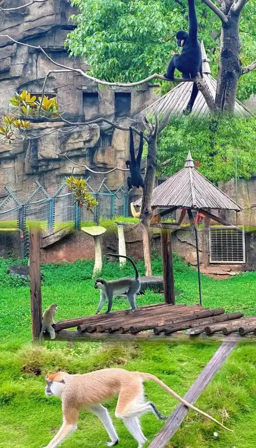 Changsha Eco-Zoo