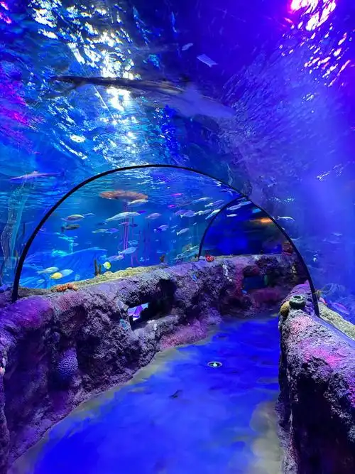 Chongqing Happy Sea World