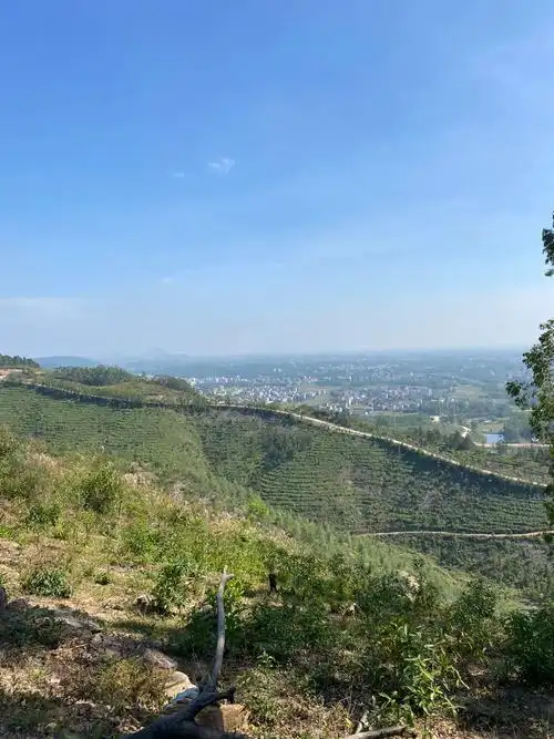 Queshan Shilong Mountain