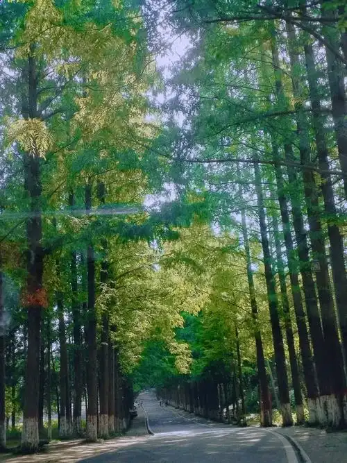 Tongshan Lake Eco-tourism Area