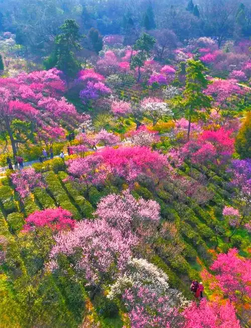 Meihua Mountain Nature Reserve