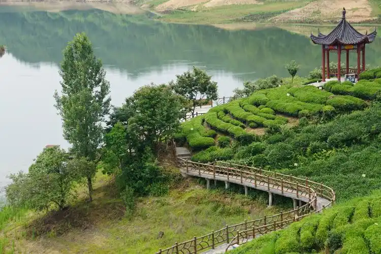Lu'an Tea Valley