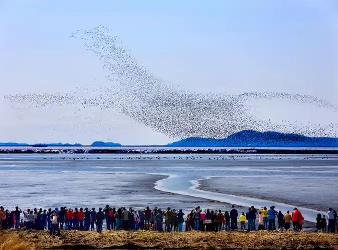 Dandong Yalu River Estuary Wetland