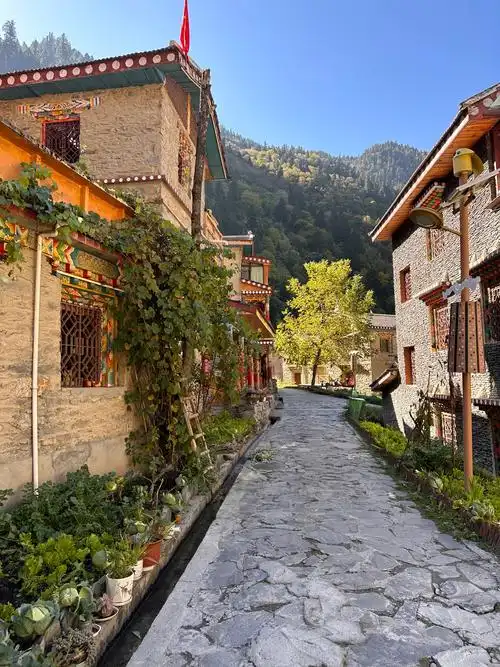Zangqing Folk Customs Village