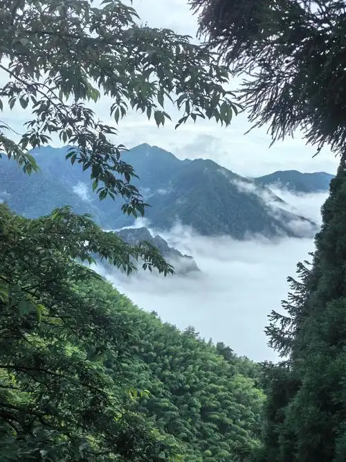 Jinggangshan National Nature Reserve