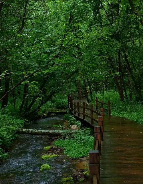 Shangganling Stream Valley