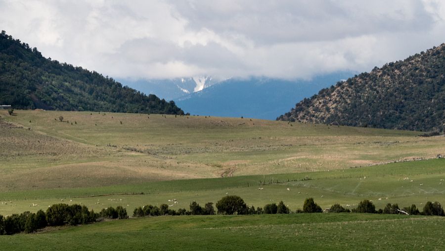 Nalati Grassland