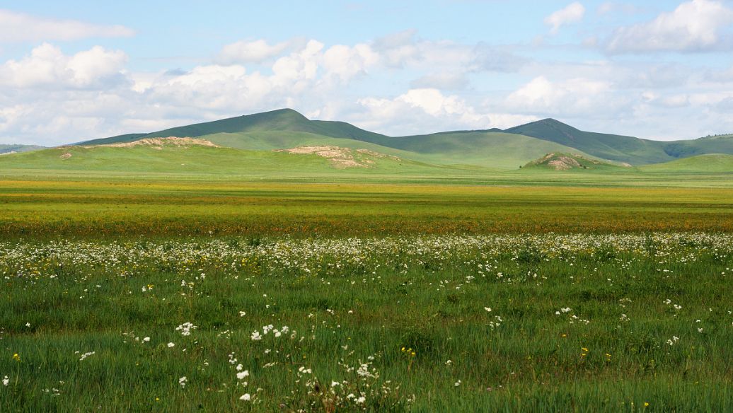 Bayinbuluke Grassland
