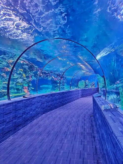 Ocean Window
