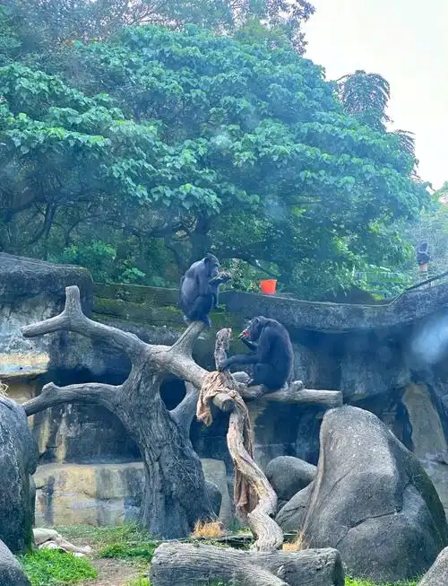 Taipei Zoo