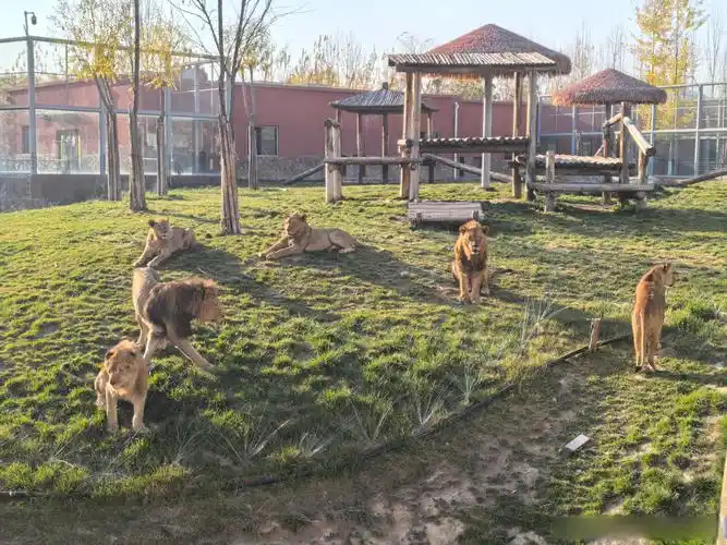 Lanzhou Zoo