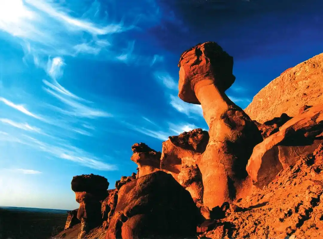 Kashgar Dinosaur Geological Park