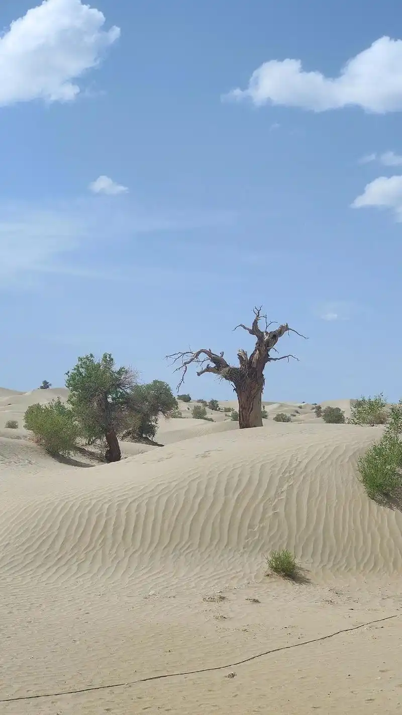 Taklamakan Desert