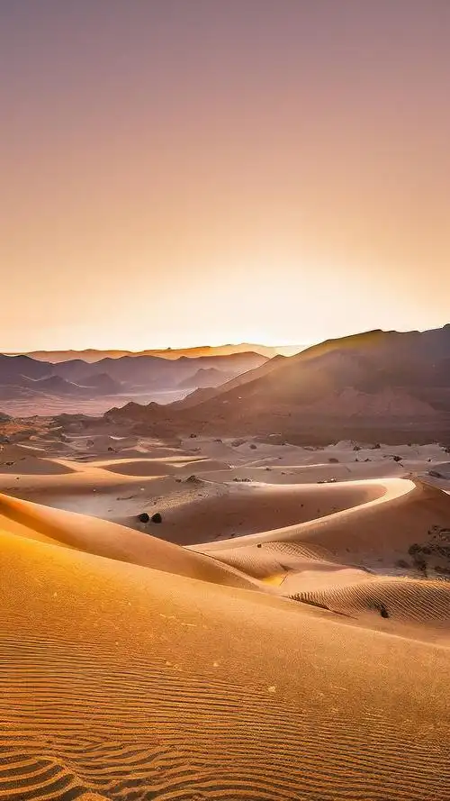 Gobi Desert