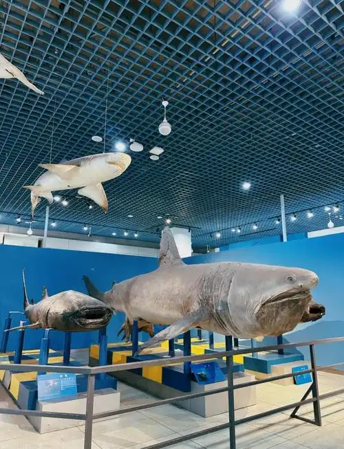 Dalian Natural History Museum