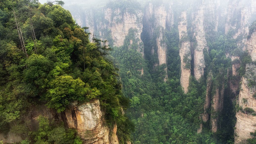 Wulingyuan Scenic Area
