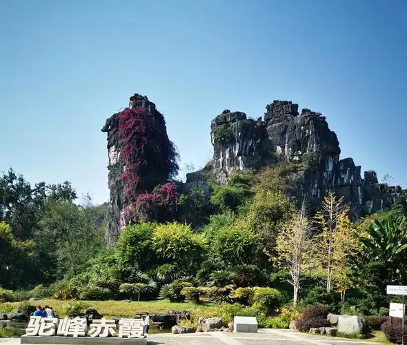 Camel Mountain