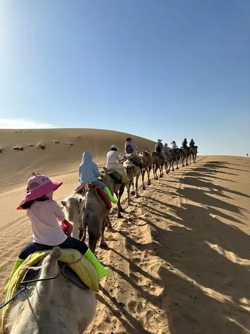 Gobi Desert