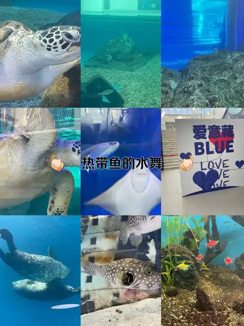 Rizhao Oceanarium