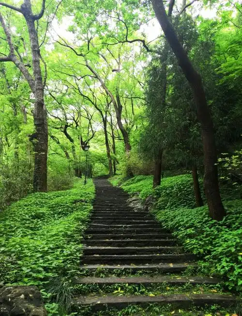Mount Yuhuang