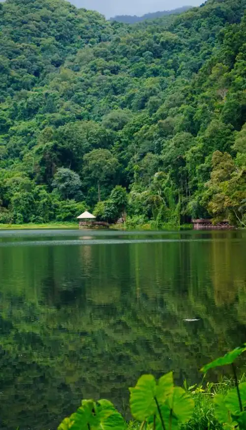 Mengsuo Dragon Pool