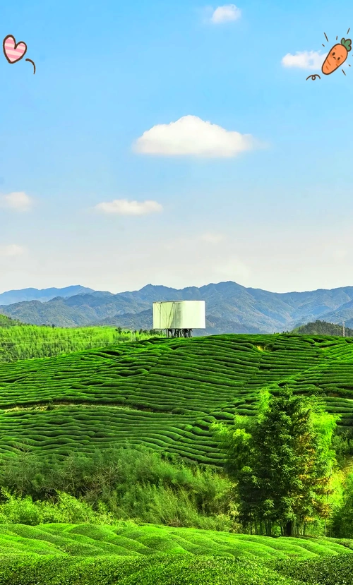 Fuliang Tea Township