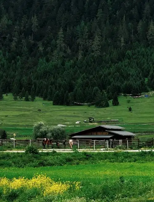 Lulang International Tourism Town