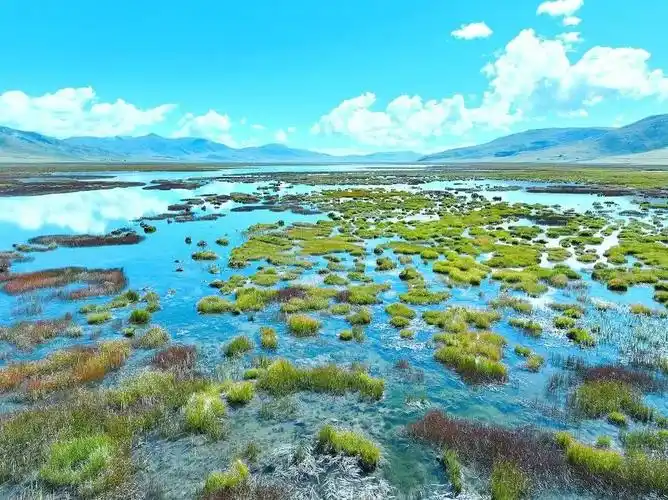Longbaotan Wetland