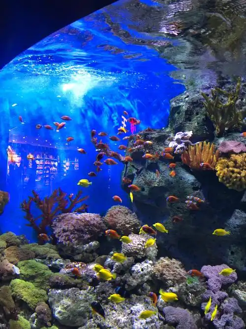 Yancheng Ocean World