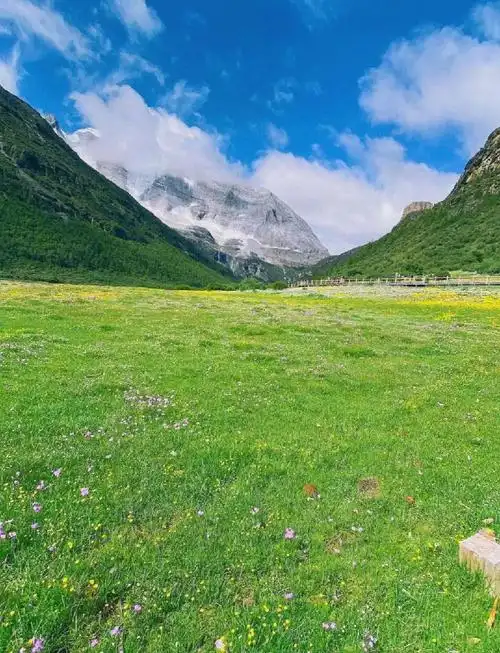 Luorong Pasture