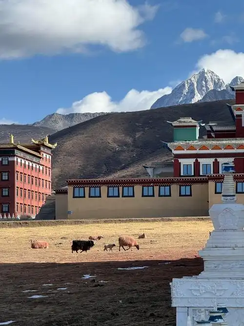 Daocheng Museum