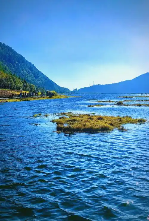 Beihai Wetland