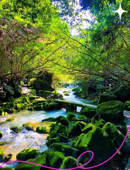 Maolan National Nature Reserve