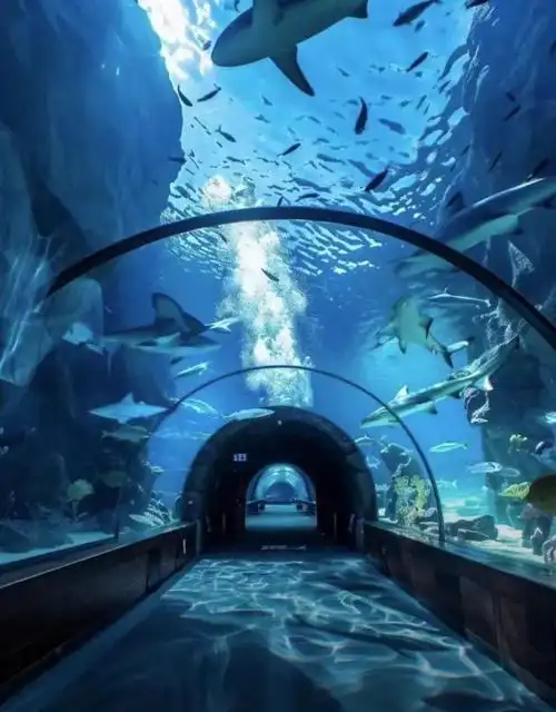 Ocean Polar World