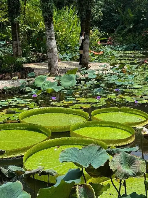 Xishuangbanna Tropical Botanical Garden