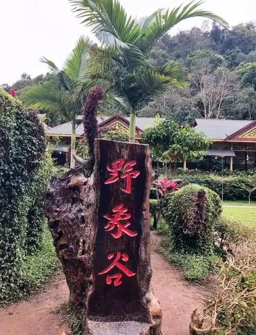 Wild Elephant Valley