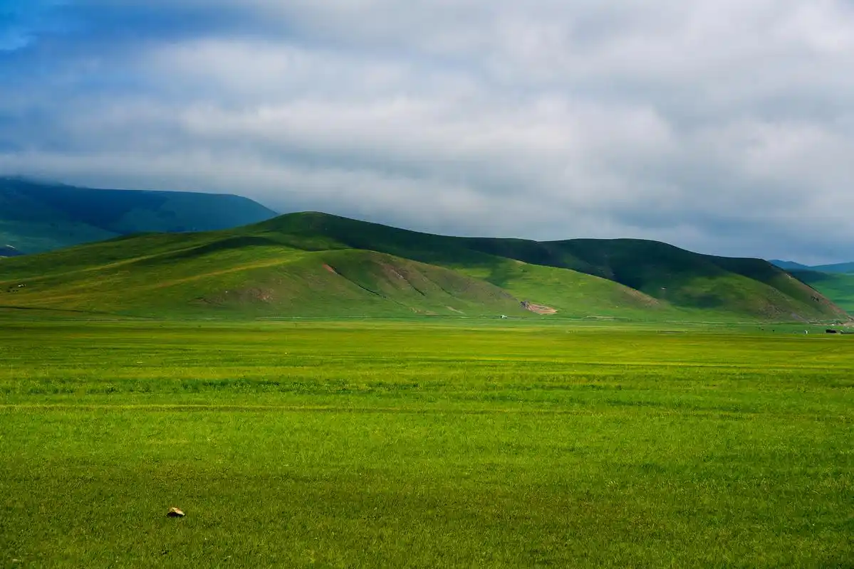 Amdo Grassland