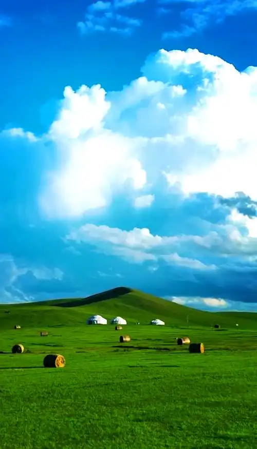 Ordos Grassland