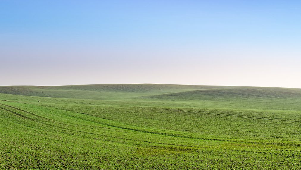 Suphan Dahan Grassland