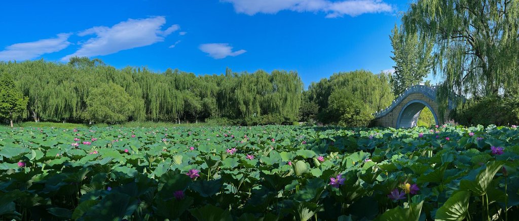 Beijing (Tongzhou) Grand Canal Cultural Tourism