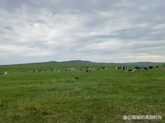 Hohhot Chahan Grassland